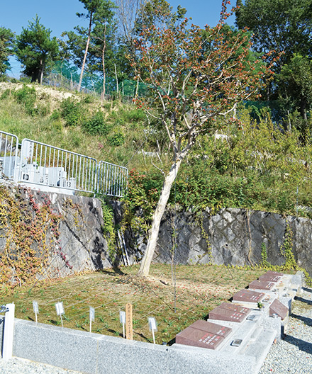 樹木葬「百日紅苑」